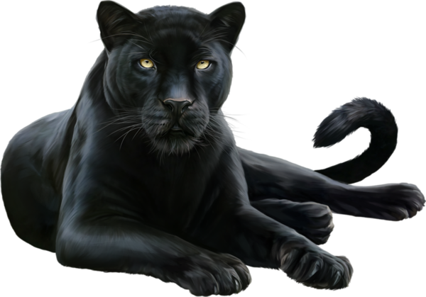 Pantera Negra